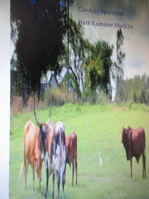 cover image of Cowboy Spaceman